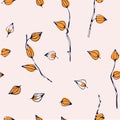 Physalis pattern isolated