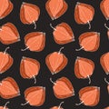 Physalis pattern seamless doodling hand drawing on a Black background.