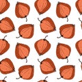 Physalis pattern seamless doodling hand drawing on a white background.