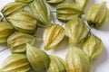 Physalis - Peruvian Cinquefoil - a beneficial crop from South America photographed on a white background