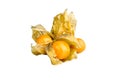 Physalis peruviana berries ground cherries, Cape gooseberry, poha berries isolated on a white background Royalty Free Stock Photo