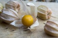 Physalis peruviana orange ripened fruits in husk on wooden table Royalty Free Stock Photo