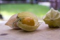 Physalis peruviana orange ripened fruits in husk on wooden table Royalty Free Stock Photo