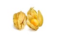 Physalis peruviana berries ground cherries, Cape gooseberry, poha berries isolated on a white background Royalty Free Stock Photo