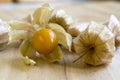 Physalis peruviana orange ripened fruits in husk on wooden table Royalty Free Stock Photo