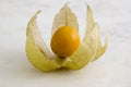 Physalis peruviana orange ripened fruits in husk on wooden table Royalty Free Stock Photo