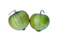 whole green tomatillos isolated on white Royalty Free Stock Photo