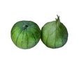 Two whole green tomatillos isolated on white. Royalty Free Stock Photo