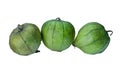 whole green tomatillos isolated on white Royalty Free Stock Photo