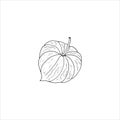 Physalis plant drawing. Hand-drawn healthy fruit, vector illustration.