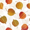 Physalis red orange flowers seamless watercolor pattern Cape gooseberry buds structure Golden berry botanical illustration