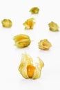 Physalis, ripe cape gooseberries Royalty Free Stock Photo