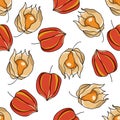 Physalis seamless doodle pattern