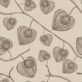Physalis seamless pattern in vintage style.