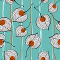 Physalis seed pattern