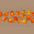 Physalis vector pattern Royalty Free Stock Photo