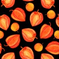 Physalis watercolor seamless pattern isolated on black background