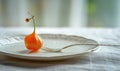 Physalis on a white plate, with a silver fork, soft morning light Royalty Free Stock Photo