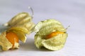 Physalis on a white wood background Royalty Free Stock Photo