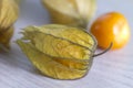 Physalis on a white wood background Royalty Free Stock Photo