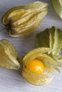 Physalis on a white wood background Royalty Free Stock Photo