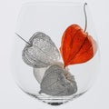 Physalis in a wine glass skeleton on white background Royalty Free Stock Photo