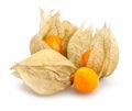 physalis winter cherry path isolated