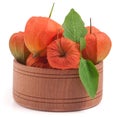 Physalis in wooden bowl isolated on white background Royalty Free Stock Photo