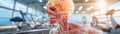 Unlocking Brainpower How Physical Activity Enhances Cognitive Function, Improves Memory, and Boosts Intelligence in Active