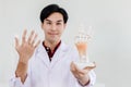 Physical Doctor with hand palm model showing anatomy in hand muscular system tendons ligaments