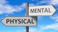 Physical and mental as a choice - pictured as words Physical, mental on road signs to show that when a person makes decision he