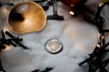 Polish currency in snow Royalty Free Stock Photo