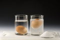 Physics. Egg floating in salt water Royalty Free Stock Photo