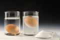 Physics. Egg floating in salt water Royalty Free Stock Photo