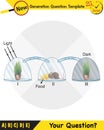 Physics, Joseph priestley`s experiment, Photosynthesis phenomenon of plant experiment