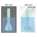 Physics - light and dark tube