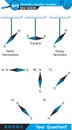 Physics - Magnetic field, Electromagnetic field and magnetic force, Polar magnet schemes, Educational magnetism physics vector