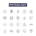 Physiology line vector icons and signs. Biology, Cells, Circulation, Endocrinology, Enzymes, Hormones, Homeostasis