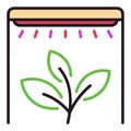 Phytolamp and Plant vector Grow Light colored icon or symbol