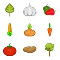 Phytology icons set, cartoon style Royalty Free Stock Photo