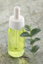 Phytotherapy - Eucalyptus essential oil