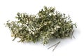Phytotherapy. Herbal Alternative Medicine. Plant moss Cetraria islandica Royalty Free Stock Photo