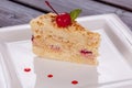Piace of cake close up Royalty Free Stock Photo