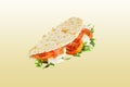 Piadina with cheese Royalty Free Stock Photo