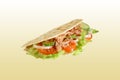 Piadina with tuna Royalty Free Stock Photo