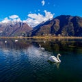 Pian di Spagna Nature Reserve - Lake of Novate Mezzola - Valchiavenna IT Royalty Free Stock Photo