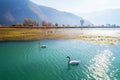 Pian di Spagna Nature Reserve - Valtellina IT - Autumnal aerial view Royalty Free Stock Photo