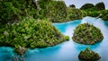 Pianemo Islands, Blue Lagoon with Green Rocks, Raja Ampat, West Papua. Indonesia Royalty Free Stock Photo