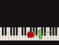 Piano Background with Red Rose Illustration Royalty Free Stock Photo