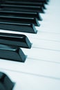 Piano black white keys